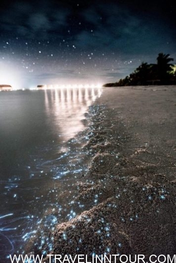 Sea of stars, Maldives 2