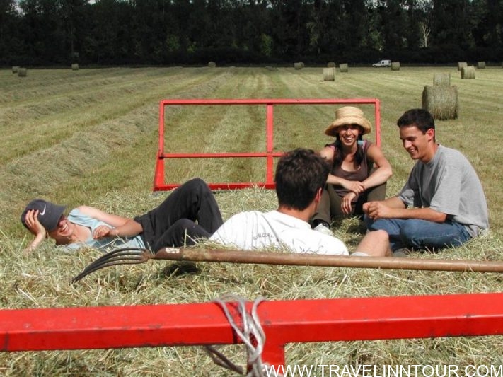 ORGANIC FARMS-Money-Saving Travel Tips