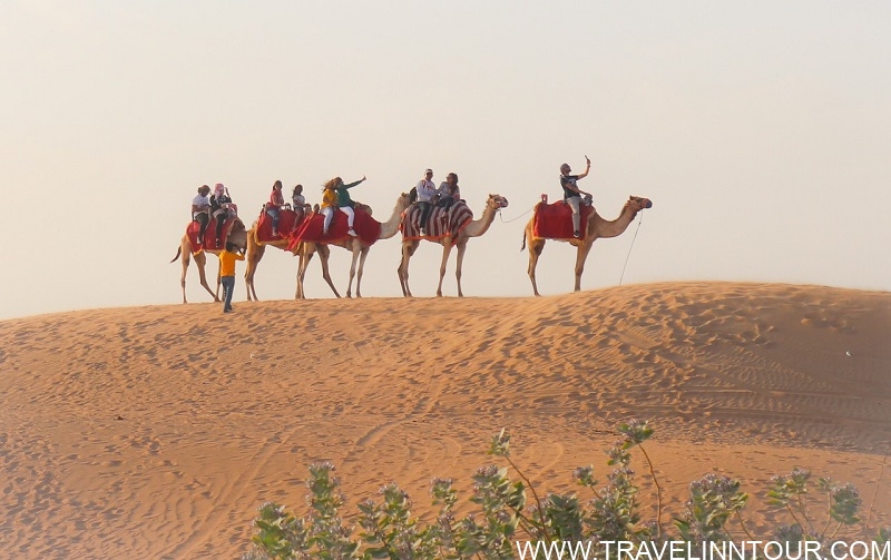 A group of tourists riding camels across a sandy desert landscape at sunset in Dubai, showcasing a popular activity for a 2-day itinerary in the city.