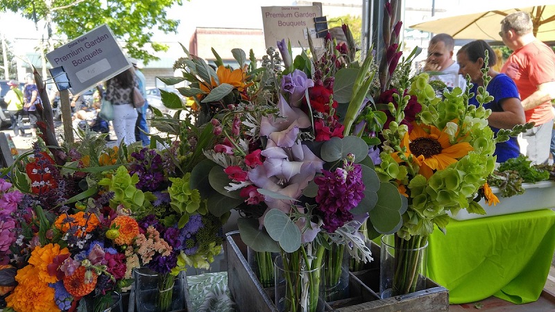 Bellingham Farmers Market