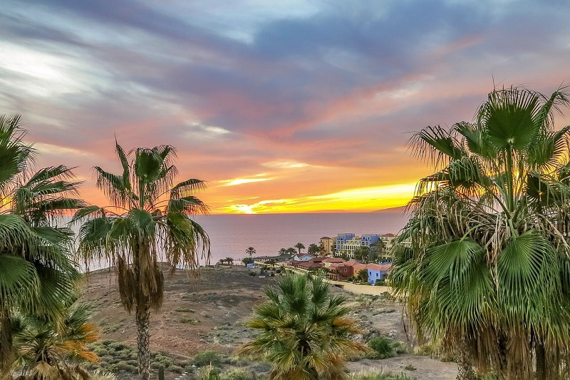 Tenerife Canary Islands