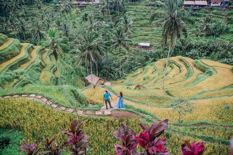 Tegallalang Rice Terrace