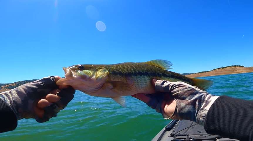 Angler holding a largemouth bass above a clear freshwater lake in California, with rolling hills in the background under a bright blue sky, illustrating bass fishing success in scenic locations.