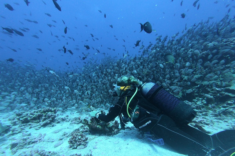 Scuba Diving in Aruba