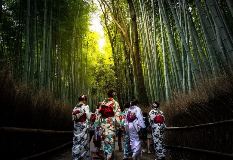 Women wearing traditional kimonos walking through Kyoto's bamboo grove, experiencing local culture and natural beauty.