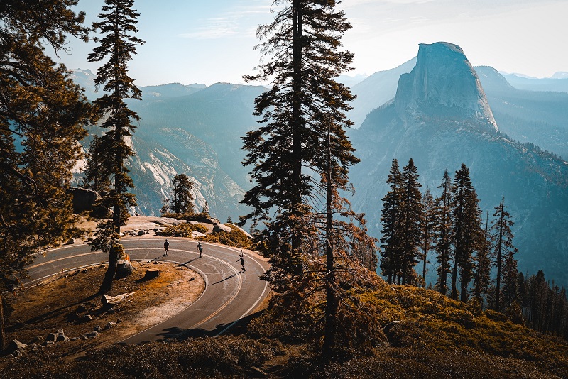 Scenic view in Yosemite National Park showcasing a winding road with cyclists surrounded by tall pine trees and the iconic Half Dome in the background.