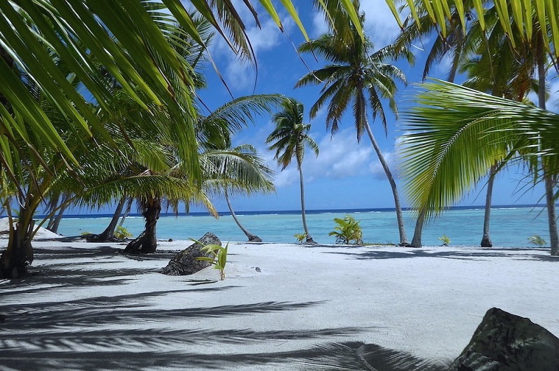 Glorious Sandy Island Palmerston