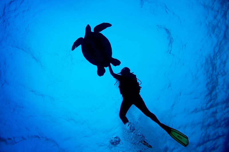 Mitiaro The Island of Pearls