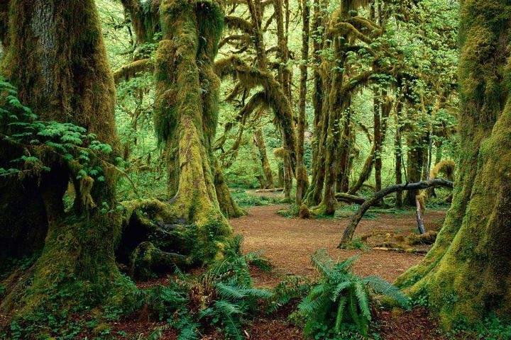 Rumonge Nature Reserve