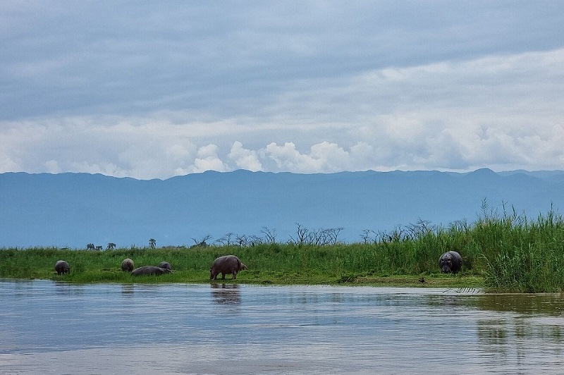 Rusizi National Park