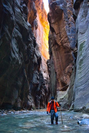 Hiker in orange jacket explores the Narrows, a popular slot canyon in Utah, walking through shallow waters with towering rock walls on both sides, representing outdoor adventures for nature lovers.