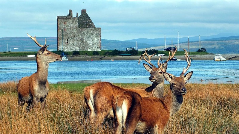 Island Dreams: Explore Top Scottish Islands for a Perfect Vacation