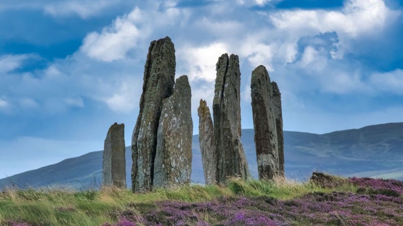 Standing stones on a Scottish island, surrounded by lush grass and purple heather, under a partly cloudy sky, representing ancient Scottish heritage and picturesque landscapes.