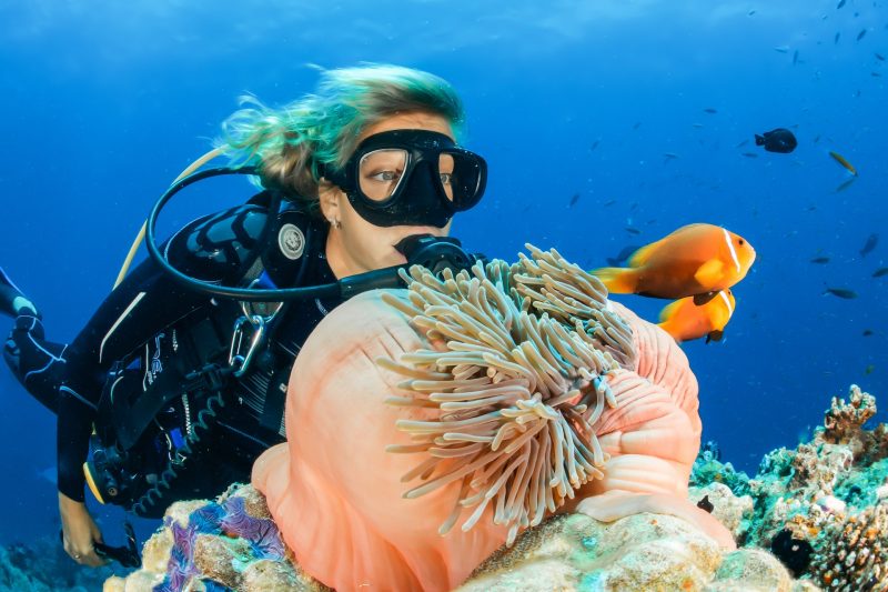 Scuba Diving Adventure Travel Ideas