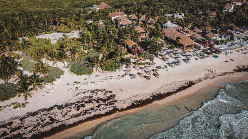 Aerial view of a beachfront nudist resort with thatched-roof buildings surrounded by lush greenery, featuring palm trees and beach umbrellas along the sandy shoreline, ideal for