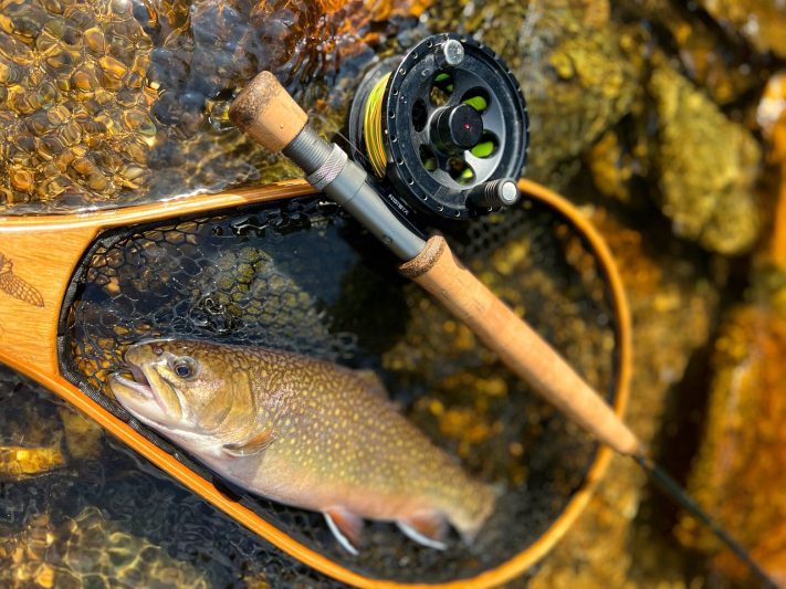 Fly fishing setup with a trout in a net on rocky shoreline, showcasing fishing experiences in Canadian lakes and resorts.
