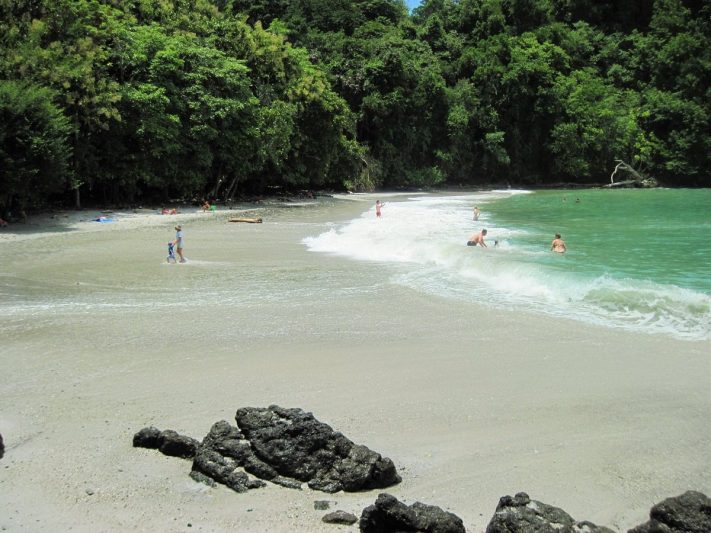 Serene beach in Costa Rica with lush green trees, soft white sand, and clear turquoise waters, ideal for a secluded, nature-filled getaway.