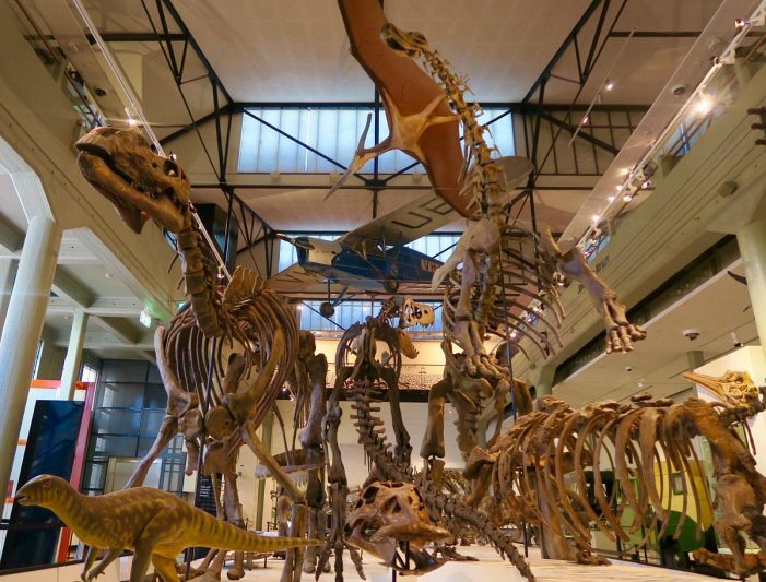 Queen Victoria Museum and Art Gallery