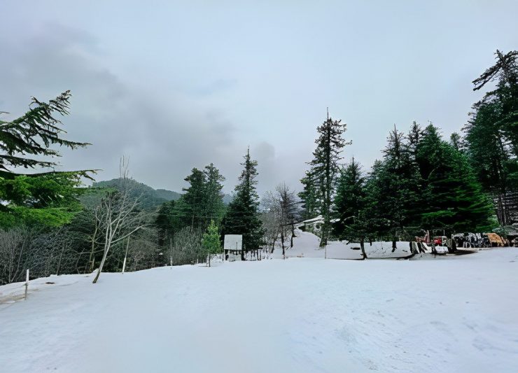 Shogran KPK