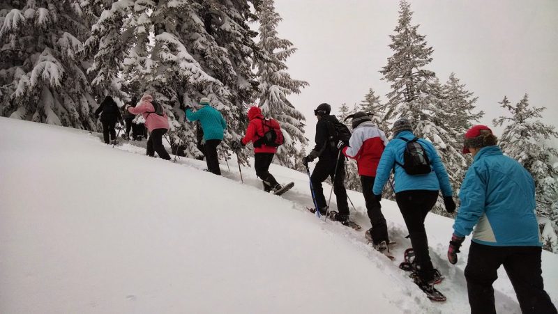 Snowshoeing Escapades