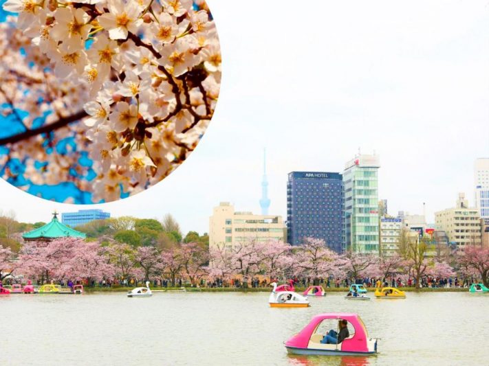 Ueno Area Best Tokyo Hotels for Families