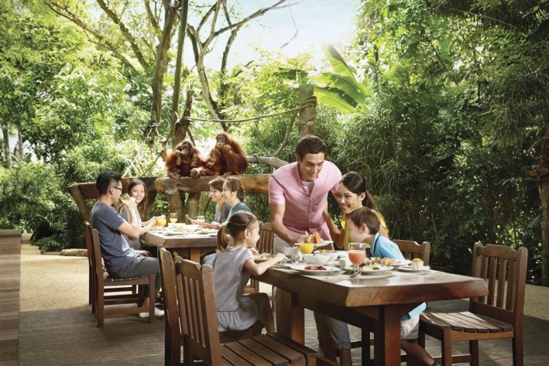 Breakfast with Animals at Singapore Zoo