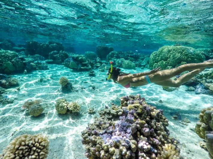 Snorkel at oral Garden