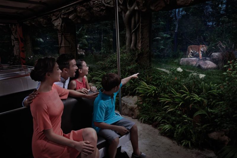 Family observing a tiger from a tram at Singapore Night Safari, surrounded by lush greenery and jungle atmosphere. Perfect for nocturnal animal encounters.