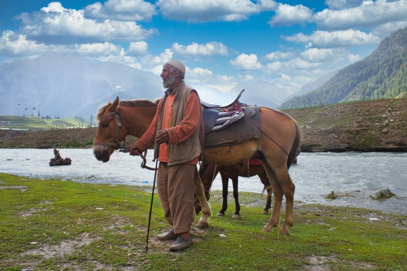 An elderly man with a beard leads a saddled horse by a scenic river in the Kashmir Great Lakes region, surrounded by lush greenery and majestic mountains under a partly cloudy sky.