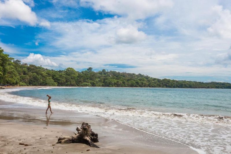 Tranquil beach scene in Costa Rica with a single person walking along the shore, surrounded by lush greenery and clear blue skies, highlighting the natural beauty ideal for clothing optional and naturist resorts.
