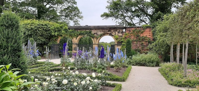 The Alnwick Poison Garden in the UK, featuring lush greenery and vibrant purple flowers in a formal garden setting, with an arched stone entrance surrounded by trees and hedges.