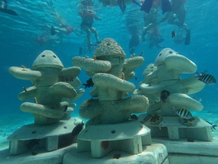 Underwater scene with artificial reef structures and tropical fish in Puerto Vallarta, showcasing a popular snorkeling destination.