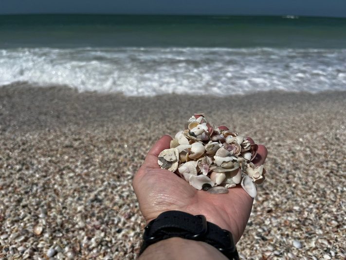 A person holding a handful of seashells with a beautiful Sarasota beach and ocean waves in the background, highlighting popular family-friendly beach activities in Florida.