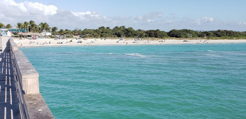 View of Sarasota beach with turquoise water, sandy shore, and palm trees, ideal for family-friendly visits in Florida.
