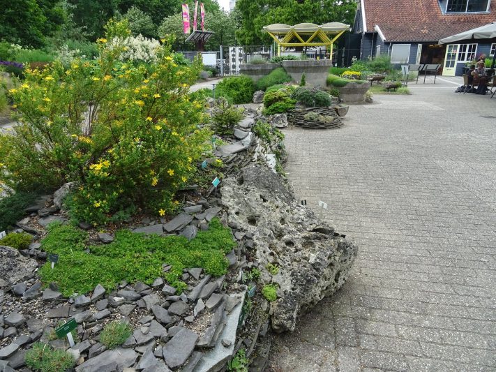 botanische tuinen utrecht
