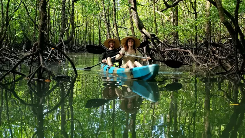 Couple kayaking through a lush mangrove forest in Malaysia, offering an adventurous and scenic getaway idea for short vacations.