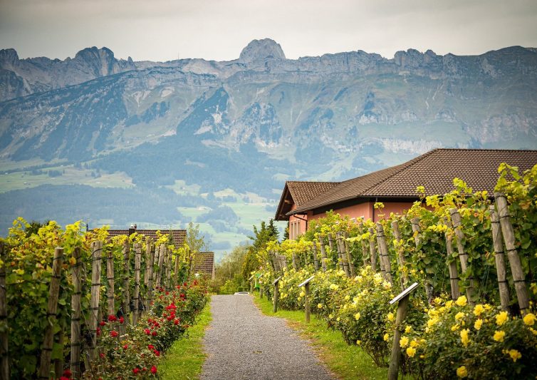 Prince of Liechtenstein Winery