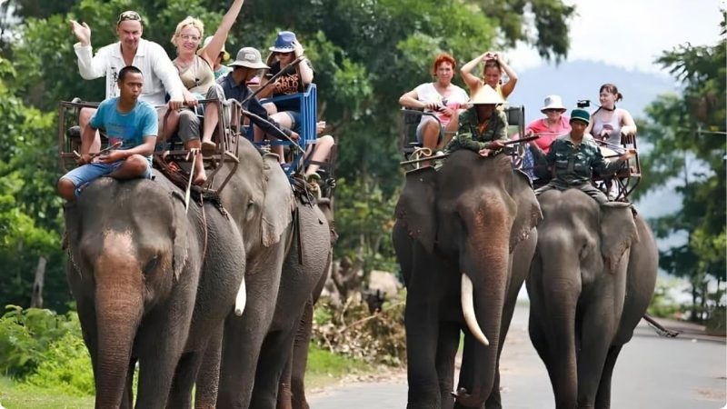 Excursions and Activities