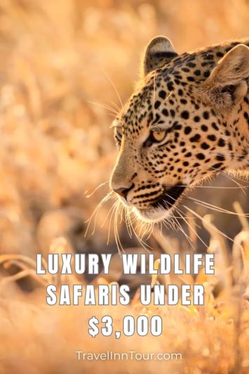 Luxury Wildlife Safaris