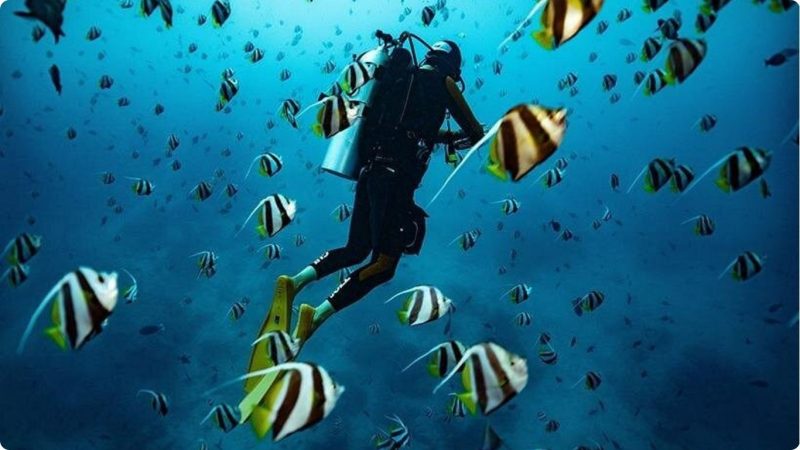 Scuba Diving