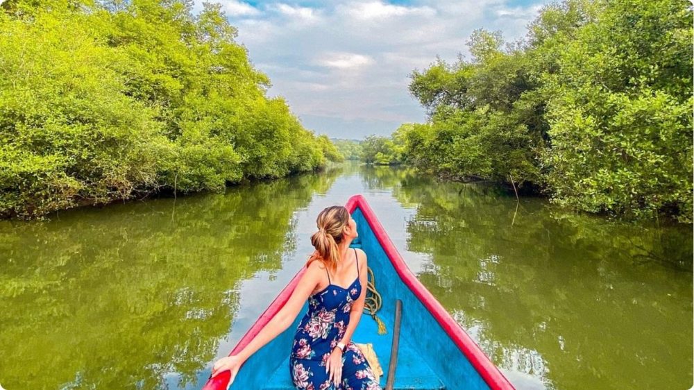 Family friendly activities to do in Goa India