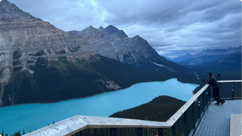 Peyto Lake Alberta