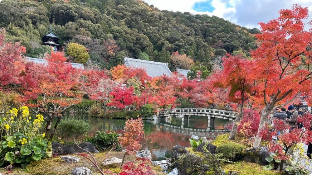 Philosophers Path kyoto