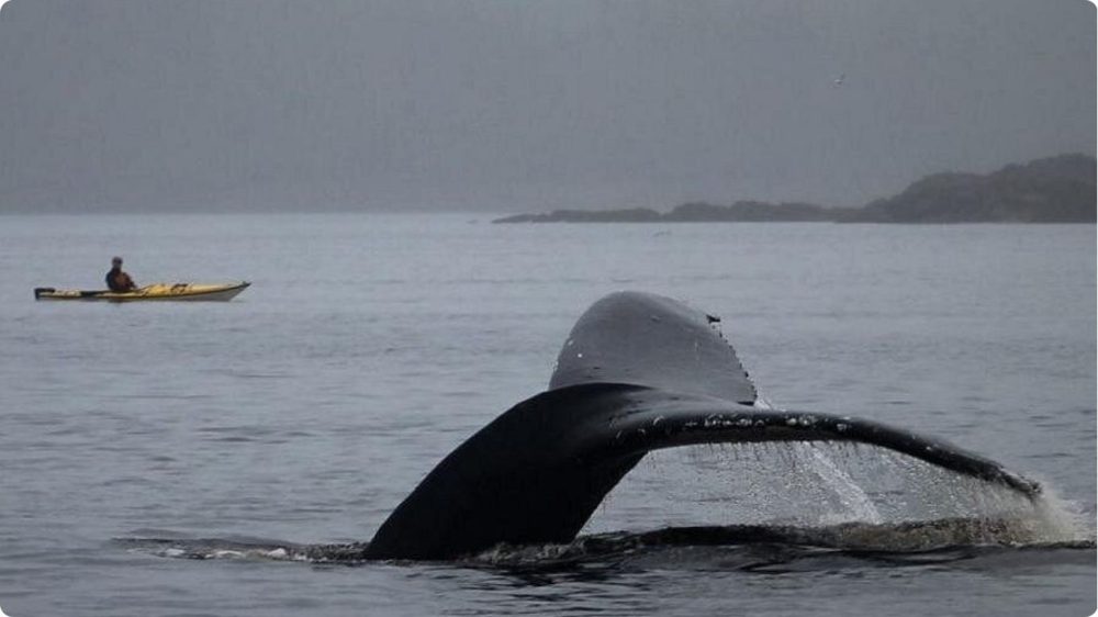 How to choose among hidden vacation spots in USA (1)