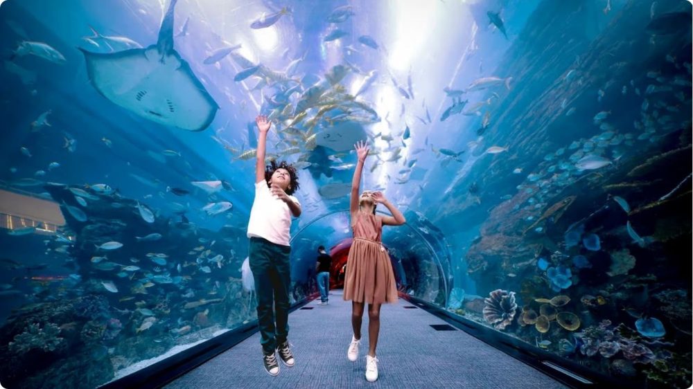 Dubai Aquarium