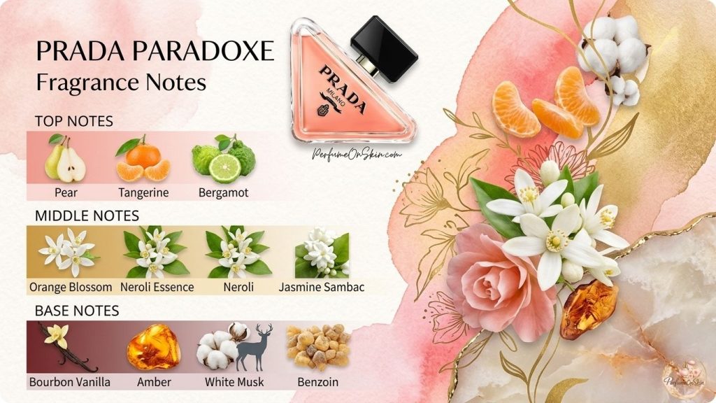Prada Paradoxe